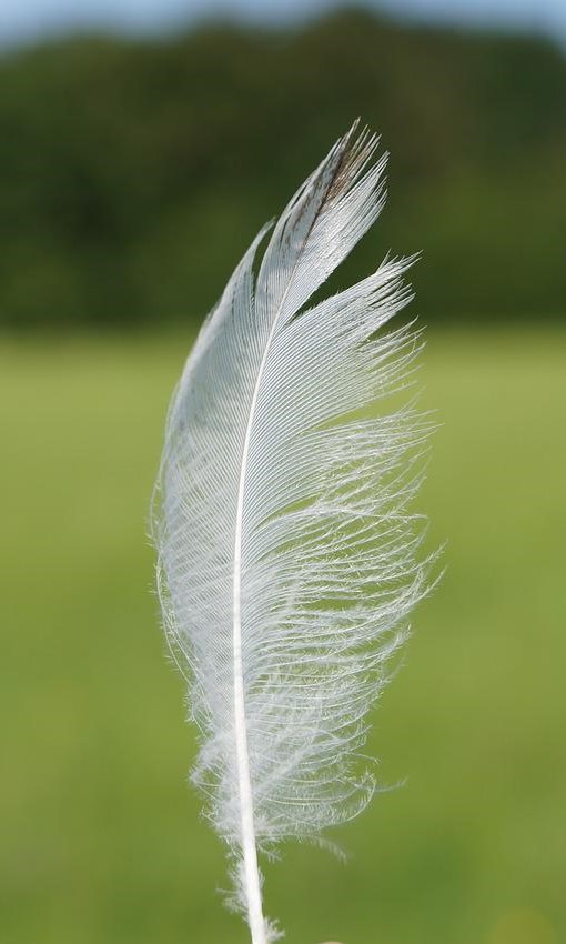 cbt west lancs Claire Gee